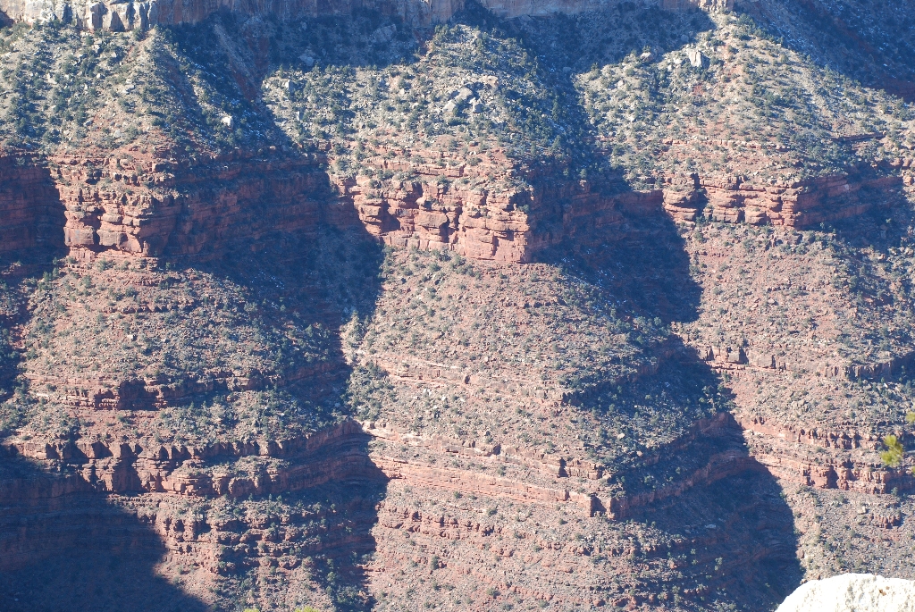 DSC_1864.JPG